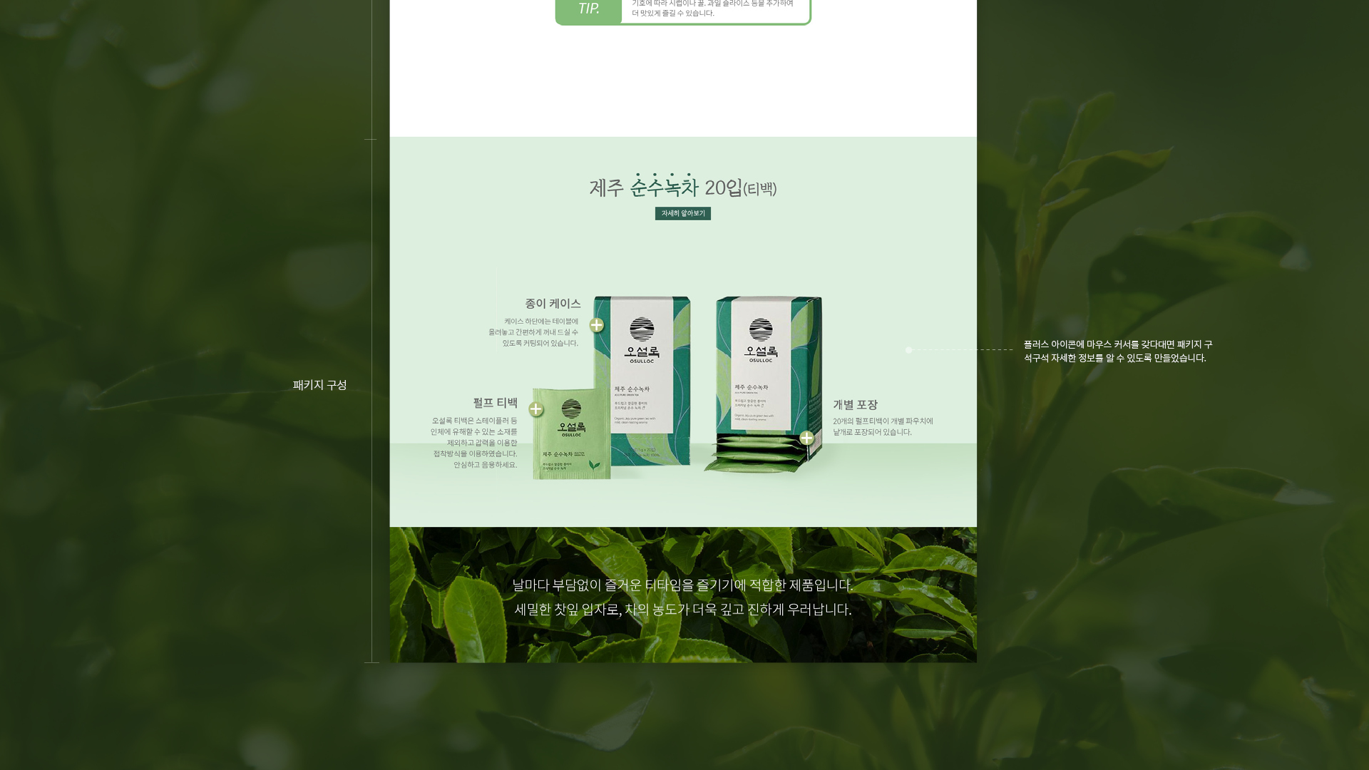 오설록 순수녹차 이벤트페이지 작업 이미지 6
