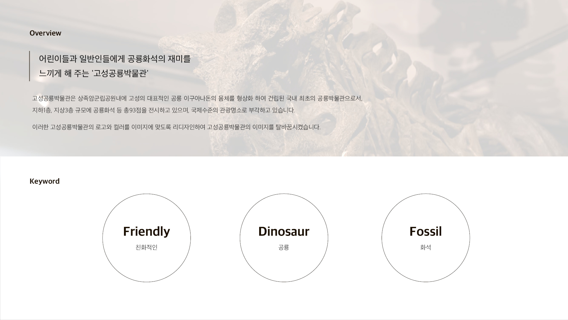 고성 공룡 박물관 브랜딩/BX 작업 이미지 2
